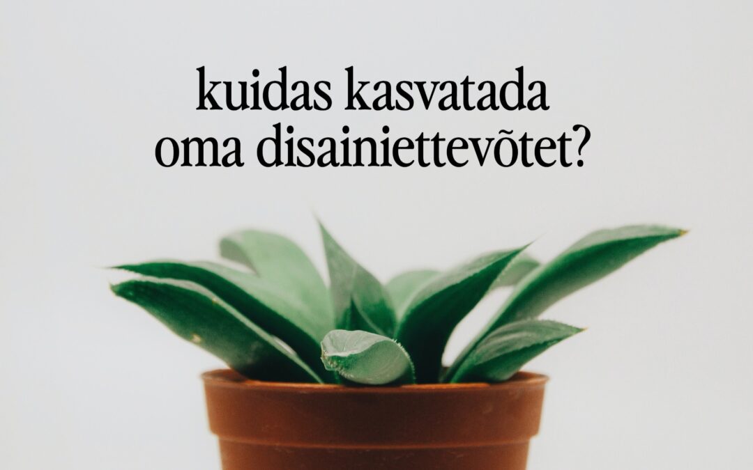 Kuidas kasvatada oma disainiettevõtet?