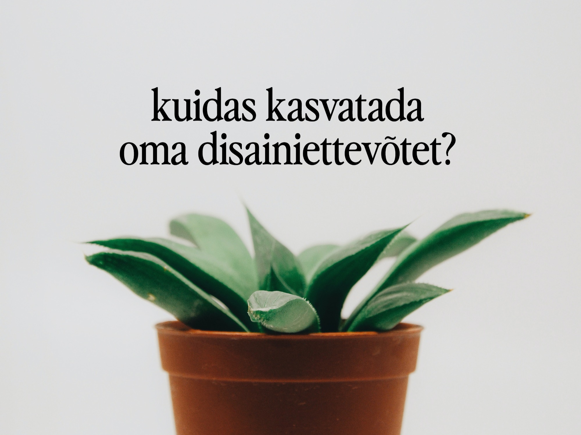 Kuidas kasvatada oma disainiettevõtet?