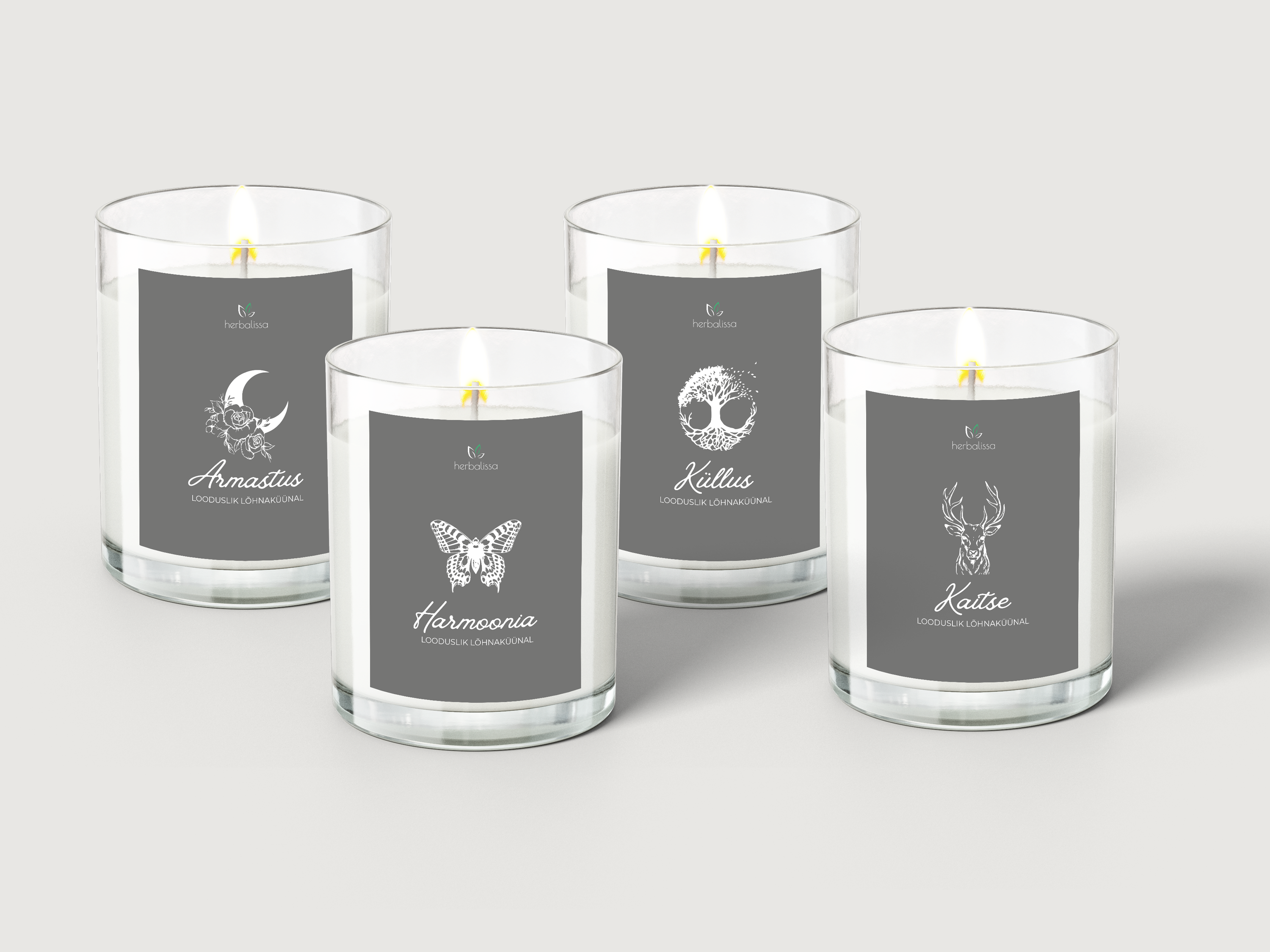 Adirac Pinery OÜ_logo